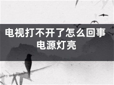 电视打不开了怎么回事电源灯亮