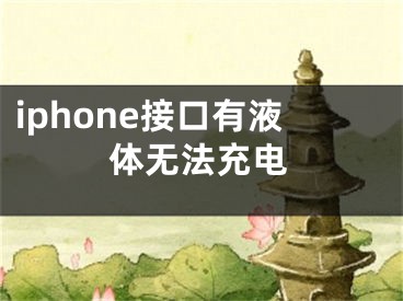 iphone接口有液体无法充电