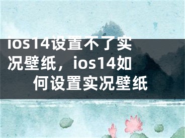 ios14设置不了实况壁纸，ios14如何设置实况壁纸