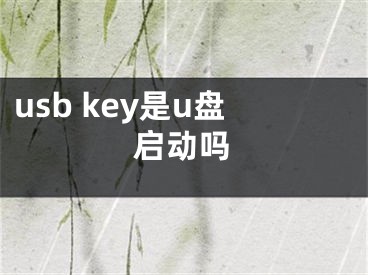 usb key是u盘启动吗