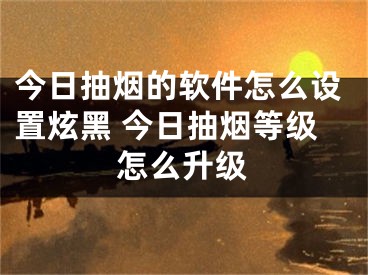 今日抽烟的软件怎么设置炫黑 今日抽烟等级怎么升级