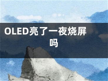 OLED亮了一夜烧屏吗