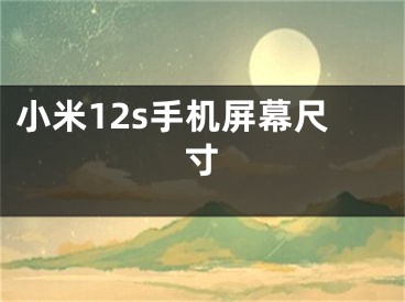 小米12s手机屏幕尺寸