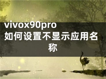 vivox90pro如何设置不显示应用名称