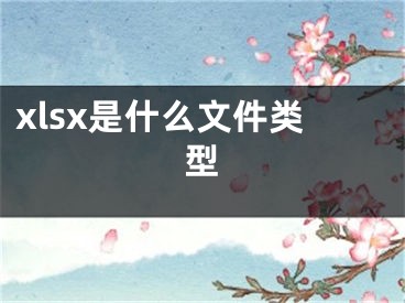 xlsx是什么文件类型