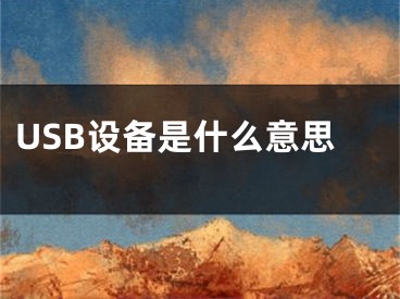 USB设备是什么意思