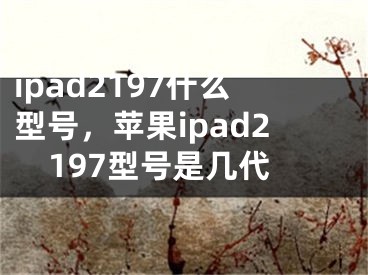 ipad2197什么型号，苹果ipad2197型号是几代