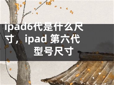 ipad6代是什么尺寸，ipad 第六代 型号尺寸