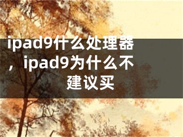 ipad9什么处理器，ipad9为什么不建议买