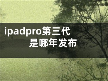 ipadpro第三代是哪年发布