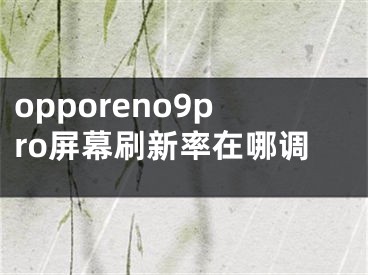opporeno9pro屏幕刷新率在哪调