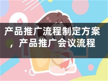 产品推广流程制定方案，产品推广会议流程