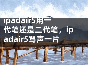 ipadair5用一代笔还是二代笔，ipadair5骂声一片