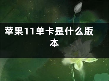 苹果11单卡是什么版本