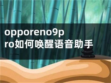 opporeno9pro如何唤醒语音助手