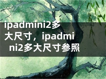 ipadmini2多大尺寸，ipadmini2多大尺寸参照