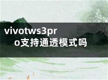 vivotws3pro支持通透模式吗