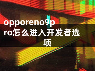 opporeno9pro怎么进入开发者选项