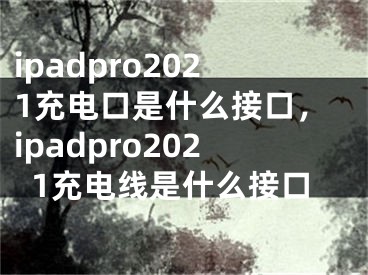 ipadpro2021充电口是什么接口，ipadpro2021充电线是什么接口