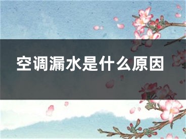 空调漏水是什么原因