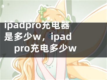 ipadpro充电器是多少w，ipad pro充电多少w