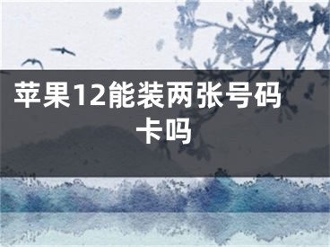 苹果12能装两张号码卡吗