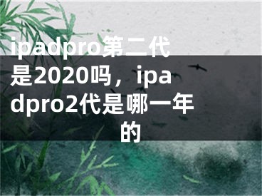 ipadpro第二代是2020吗，ipadpro2代是哪一年的