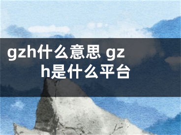 gzh什么意思 gzh是什么平台
