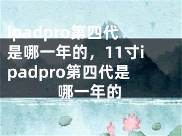 ipadpro第四代是哪一年的，11寸ipadpro第四代是哪一年的