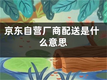 京东自营厂商配送是什么意思