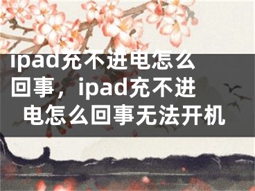 ipad充不进电怎么回事，ipad充不进电怎么回事无法开机 