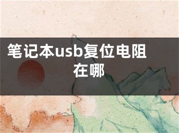 笔记本usb复位电阻在哪