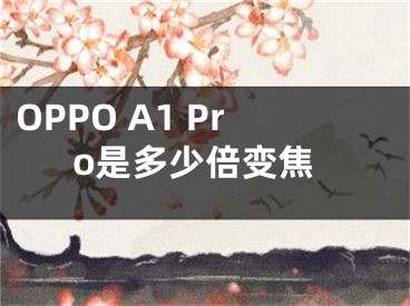 OPPO A1 Pro是多少倍变焦