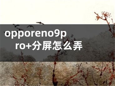 opporeno9pro+分屏怎么弄