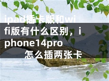 ipad插卡版和wifi版有什么区别，iphone14pro怎么插两张卡