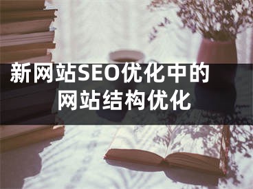 新网站SEO优化中的网站结构优化