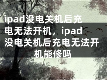 ipad没电关机后充电无法开机，ipad没电关机后充电无法开机能修吗