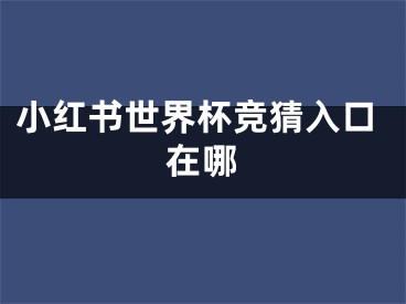 小红书世界杯竞猜入口在哪