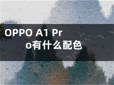 OPPO A1 Pro有什么配色