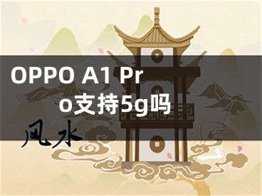 OPPO A1 Pro支持5g吗