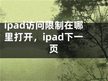 ipad访问限制在哪里打开，ipad下一页