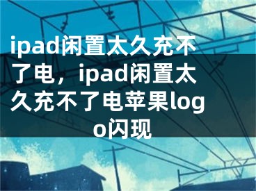 ipad闲置太久充不了电，ipad闲置太久充不了电苹果logo闪现