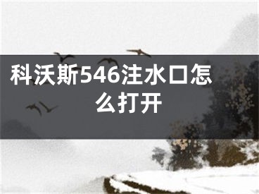 科沃斯546注水口怎么打开