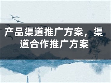 产品渠道推广方案，渠道合作推广方案