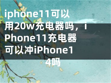 iphone11可以用20w充电器吗，iPhone11充电器可以冲iPhone14吗