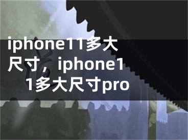 iphone11多大尺寸，iphone11多大尺寸pro