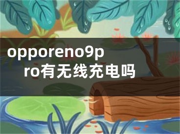 opporeno9pro有无线充电吗