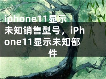 iphone11显示未知销售型号，iPhone11显示未知部件