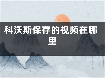 科沃斯保存的视频在哪里