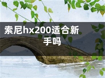 索尼hx200适合新手吗